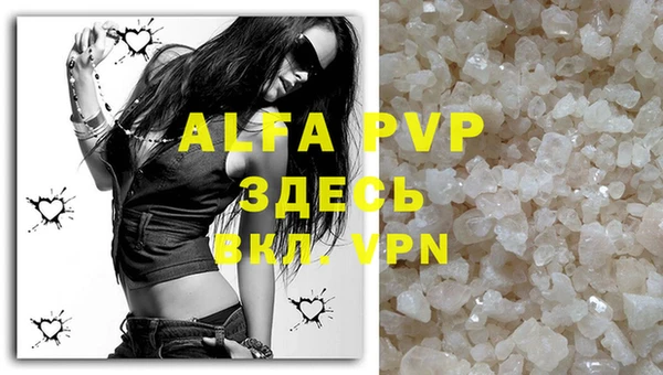 a pvp Володарск