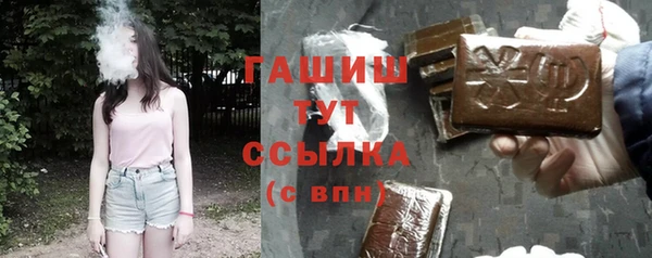 индика Бронницы