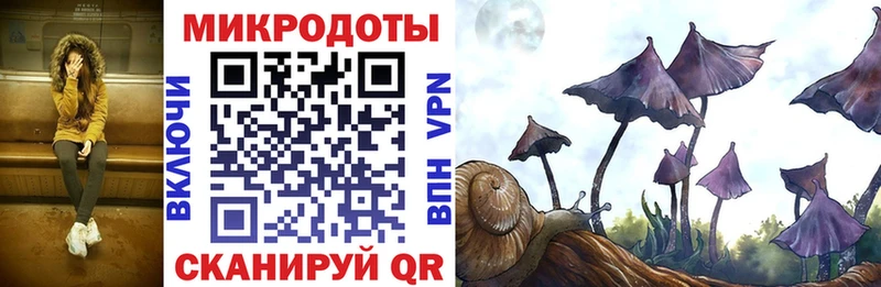 Галлюциногенные грибы мухоморы Егорьевск